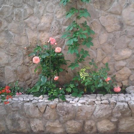 Apartment Mile Sibenik Exterior photo